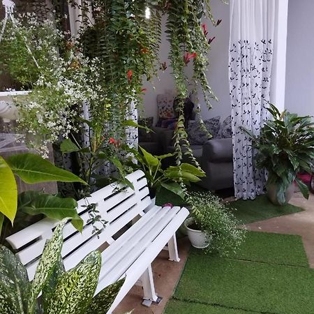 Ella Way Resort 佩勒代尼耶 外观 照片