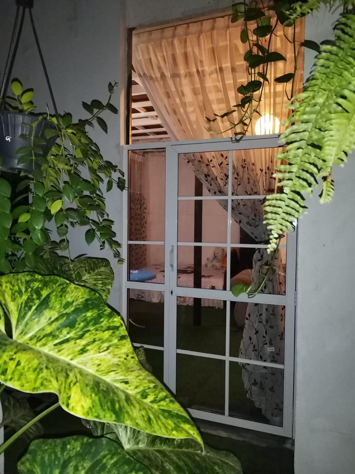 Ella Way Resort 佩勒代尼耶 外观 照片