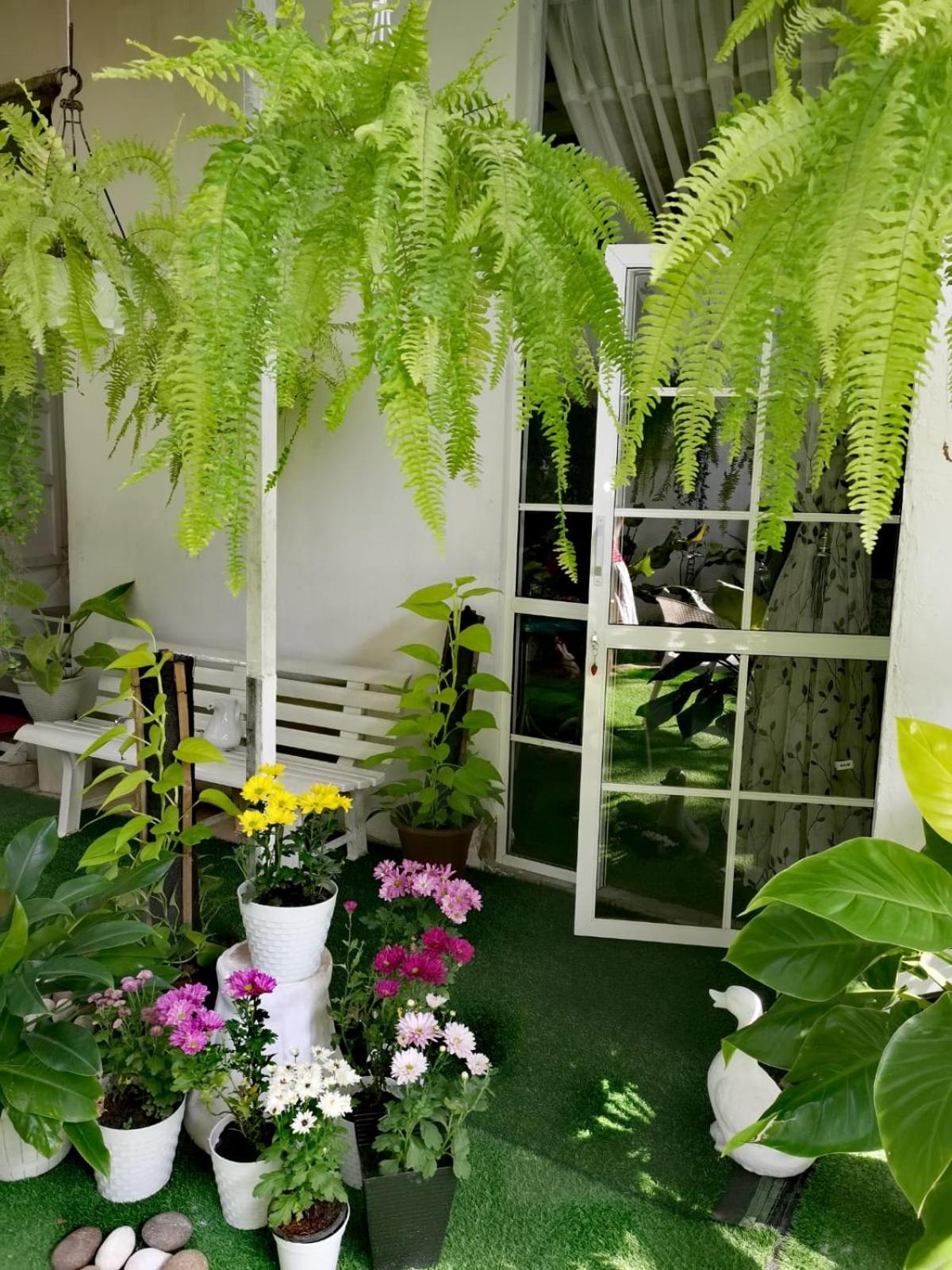 Ella Way Resort 佩勒代尼耶 外观 照片